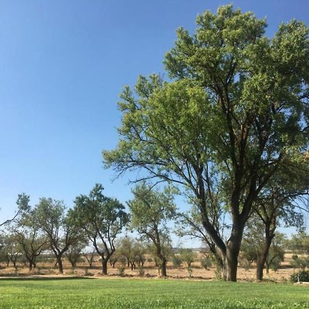 Finca El Relax Colmenar de Oreja Kültér fotó